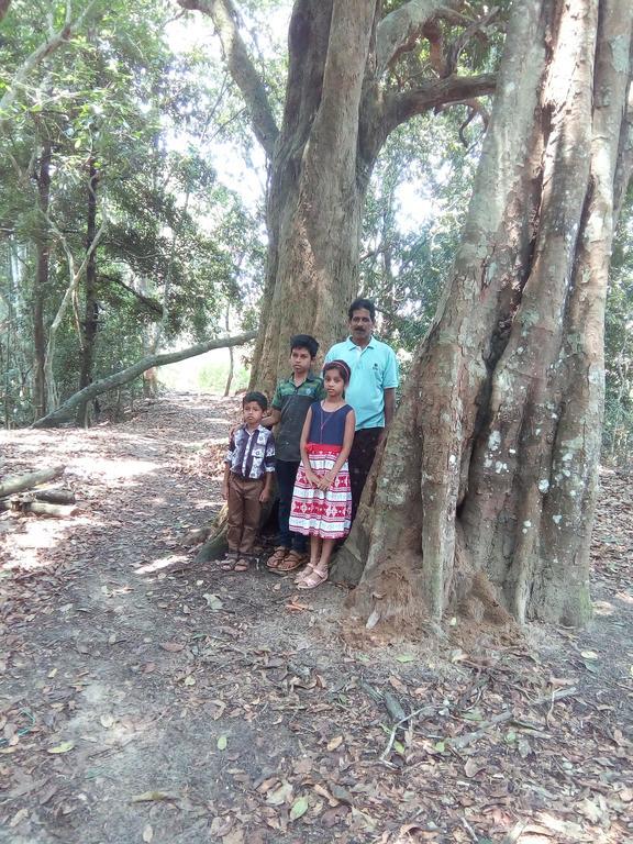 Wayanad Homestay Mananthavady Bagian luar foto